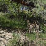 FITS_167 (May 04, 2019)